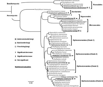 Ethanol-Enriched Substrate Facilitates <mark class="highlighted">Ambrosia Beetle</mark> Fungi, but Inhibits Their Pathogens and Fungal Symbionts of Bark Beetles